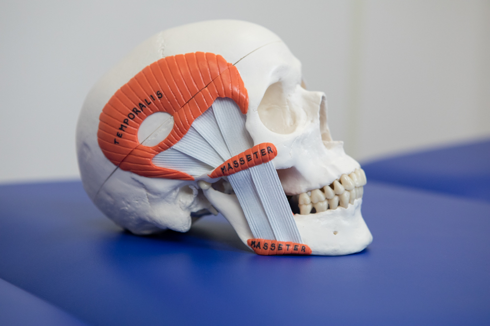 Onderzoek bij tinnitus en oorsuizen door de orofaciaal fysiotherapeut